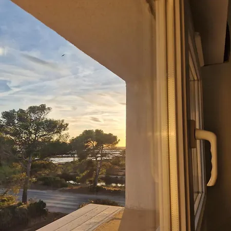 Les Flamants Roses De La Capte T2 Ιέρ