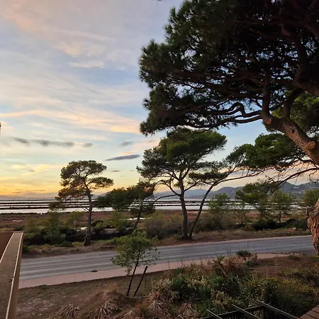 Les Flamants Roses De La Capte T2 耶尔