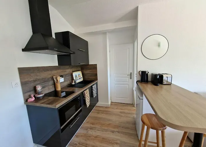 Les Flamants Roses De La Capte T2 Апартаменти Єр