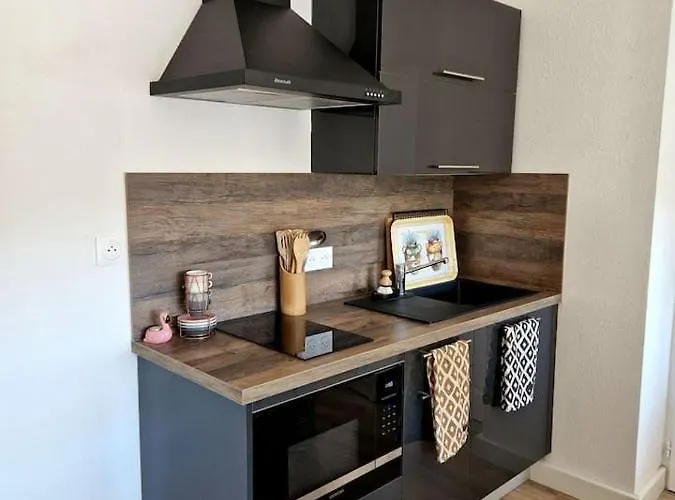 Les Flamants Roses De La Capte T2 Апартаменти Єр