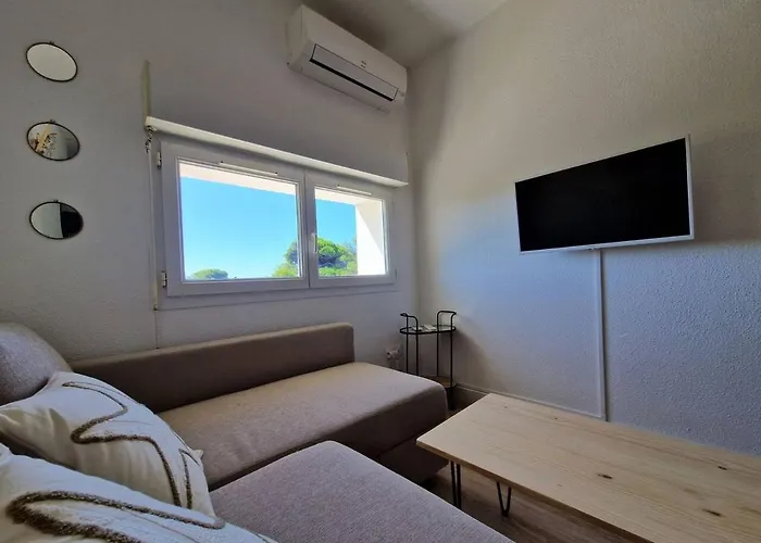 Les Flamants Roses De La Capte T2 *