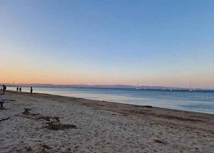 Les Flamants Roses De La Capte T2 * Єр