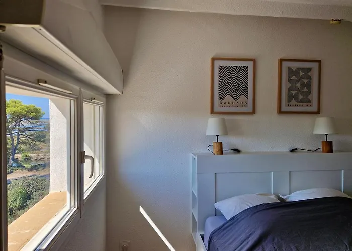 Les Flamants Roses De La Capte T2 公寓 *