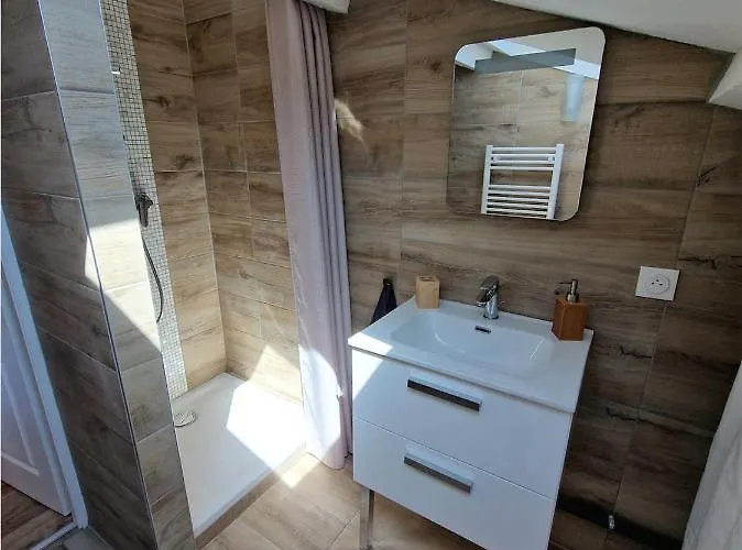 公寓 Les Flamants Roses De La Capte T2 耶尔