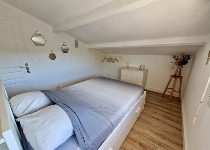 Les Flamants Roses De La Capte T2 Єр