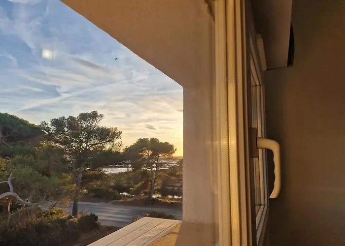 Les Flamants Roses De La Capte T2 耶尔